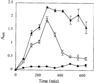 FIG. 1. Visual differences between growth phenotypes. (A to C) Colonies of L variant (A), S1 variant (B; the arrow indicates the emergence of a L-type revertant sector emerging from the side of a colony), and S2 variant (C) on LB agar plates incubated at 3