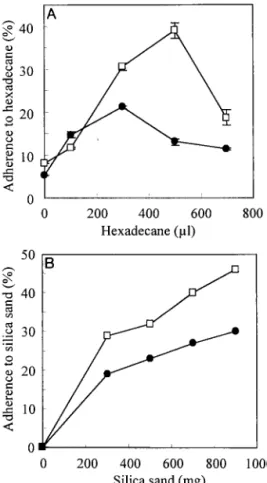 FIG. 4. Differences in motility phenotypes of L and S variants. (A) Swimming motility on a tryptone swim plate (0.3% agar)