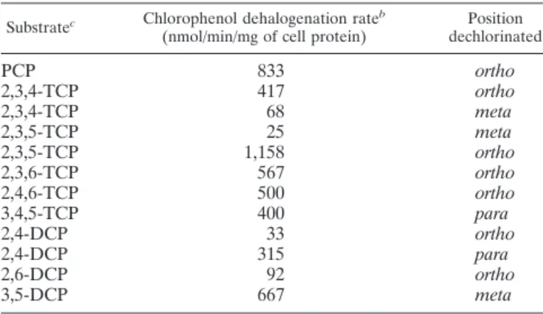 TABLE 1. Chlorophenol dehalogenation rates a produced by D. frappieri