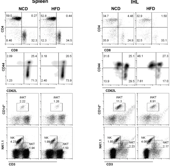 Figure 3.8.B: HFD induces CD8 +  T cell activation and NK cell infiltration in the liver