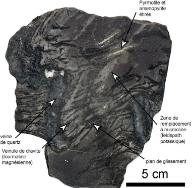 Figure 4 : Galerie souterraine de la mine Éléonore (400 m  de profondeur). Discussions autour d’une imposante  in-trusion granitique datée à 2,6 milliards d’années.