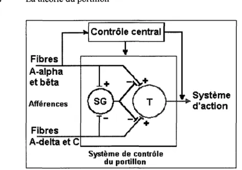 Figure 4  La théorie du portillon 