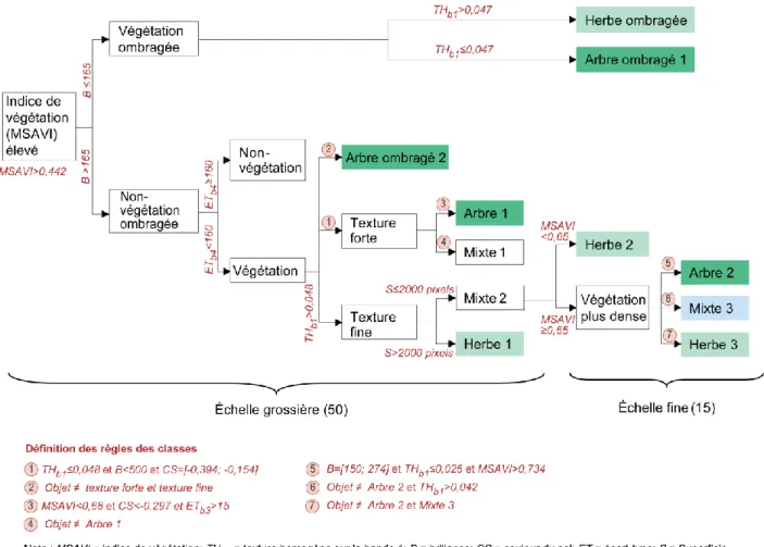 Figure 5 : Démarche de classification 