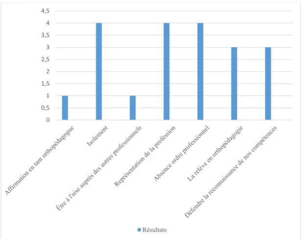 Figure 7.  Défis rencontrés lors du développement de l’identité professionnelle 