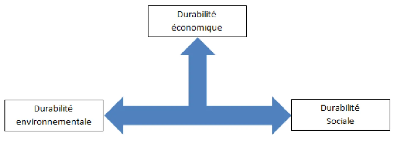 Figure 3. Trois dimensions de DE