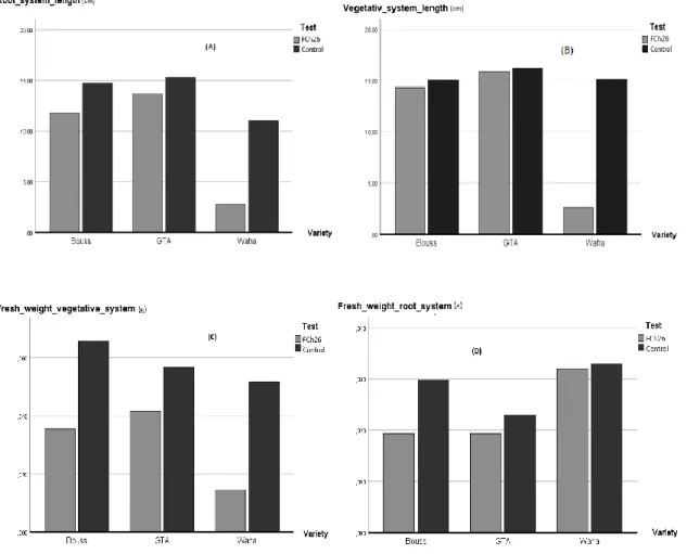 Figure 11. Impact of F.chlamydosporium on: (A) root system length, (B) vegetative system length, (C)  vegetative system fresh weight and (D) root system fresh weight