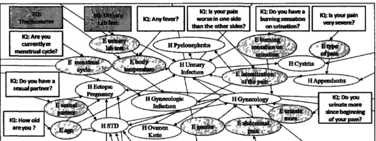 Figure 1.5: A partial view of the influence diagram for the abdominal case. IQ  interview query; EQ = evidence query; E = evidence; H = hypothesis