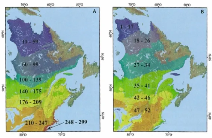 Figure 1.1  Transition latitudinale du nombre d’espèces observée chez les oiseaux (A) et les  mammifères (B) au Québec 