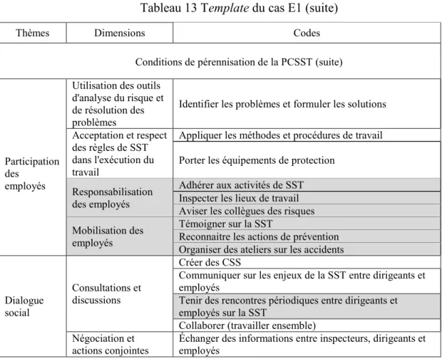 Tableau 13 Template du cas E1 (suite) 