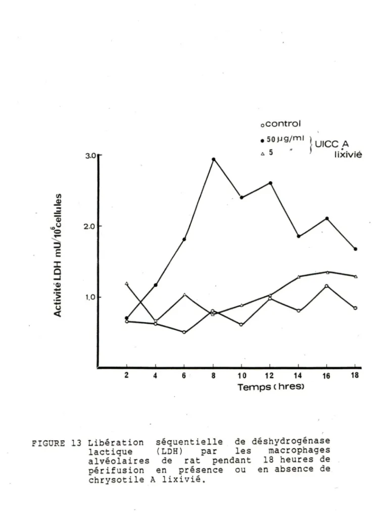 FIGURE  13  Libération  séquentielle  de  déshydrogénase  lactique  (LDH)  par  les  macrophages  alvéolaires  de  rat  pendant  18  heures  de  périfusion  en  présence  ou  en  absence  de  chrysot i le  A  lixivié