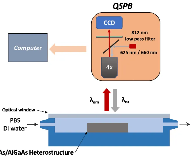 Fig. 8 A schematic view of the QSPB and flow cell setup. 
