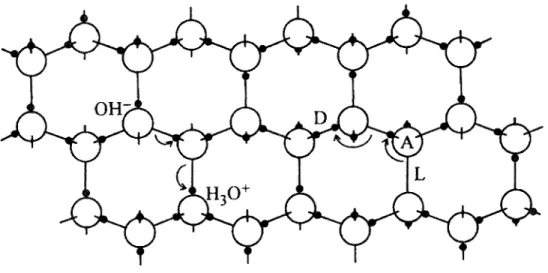 Figure 12 : Representation schematique des defauts ponctuels protoniques dans la  glace (32) 
