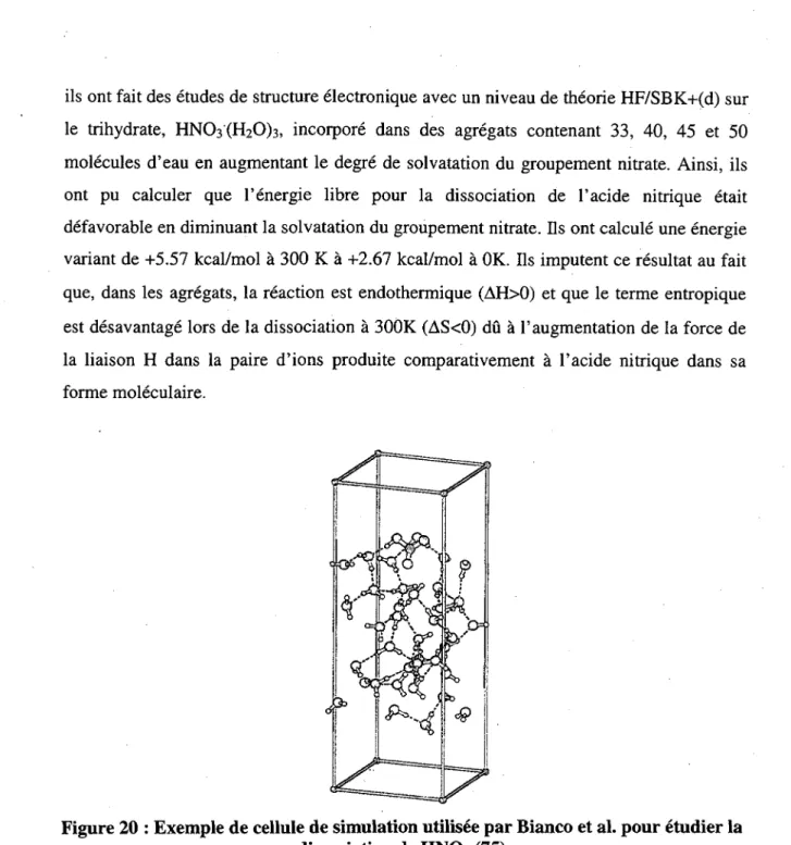 Figure 20 : Exemple de cellule de simulation utilisee par Bianco et al. pour etudier la  dissociation de HNO3 (75) 