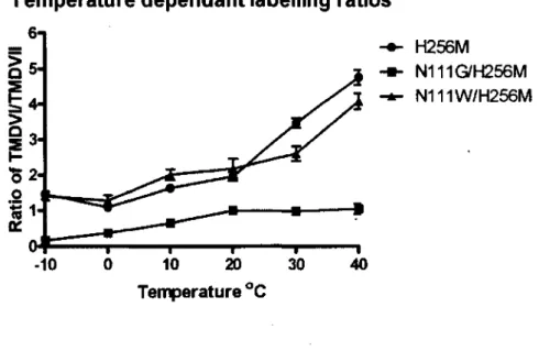Figure  4.1 :  Photomarquage  température  dépendant  des  mutants  H256M,  NI 11G/H256M  et  N111W/H256M