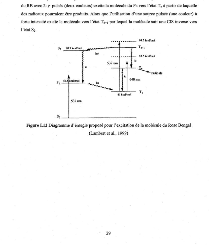 Figure 1.12  Diagramme d'énergie proposé pour l'excitation de la molécule du Rose Bengal  (Lambert et al., 1999) 