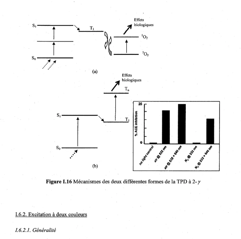 Figure 1.16  Mécanismes des deux différentes formes de la TPD  à  2-r 