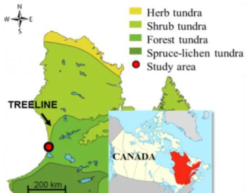 Fig. 1 Study area situated at the treeline, Nunavik, Quebec, Canada  (figure adapted from [9])