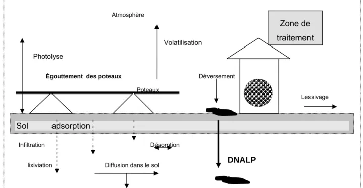 Figure 4.2 Dispersion d’un contaminant après traitement. 