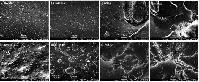 Figure 2.8. Morphology of PLA/starch composites with added butyl-etherified waxy (BWS) and  high amylose starch (BHAS), non-butyl-etherified waxy (WS) and high amylose starch (HAS) at 