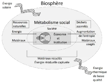 Figure 3.4 Métabolisme social intégrant l’économie et ses relations avec la biosphère (inspiré de : Ruth,  2018) 