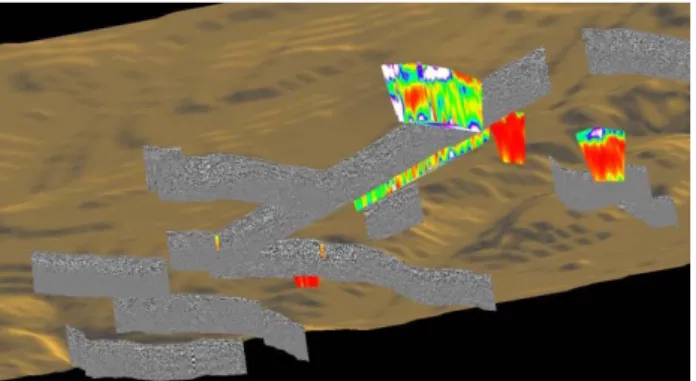 Figure 8 Global view of the integration in gOcad (near horizontal  view) 