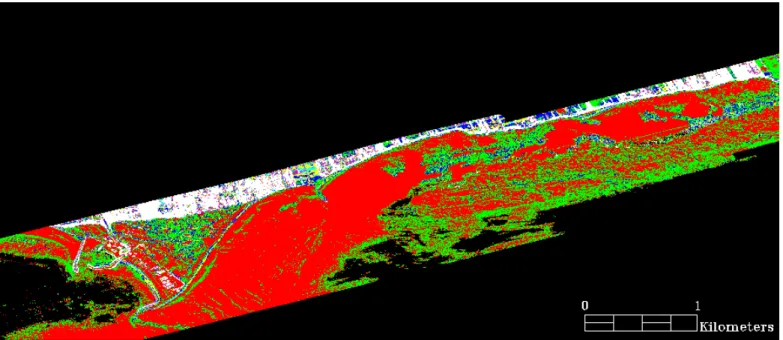 Figure 2. A raster representing the seabed roughness over the Paspébiac shoreface area