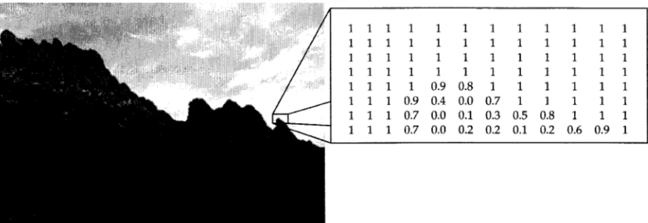 Figure 4.6 Exemple d'une image en nuance de gris s'accompagnant de va- va-leurs numeriques 