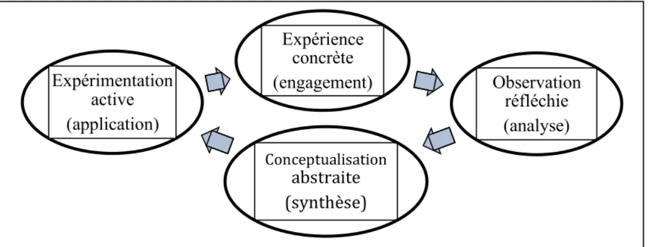 Figure 2 : Les quatre phases du cycle de l’apprentissage expérientiel.  