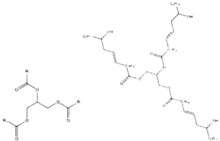 Figure  18.  a)  structure  générale  d ’ un  triglycéride  et  b)  structure  majoritaire  de  l'huile  de  ricin  (90%)