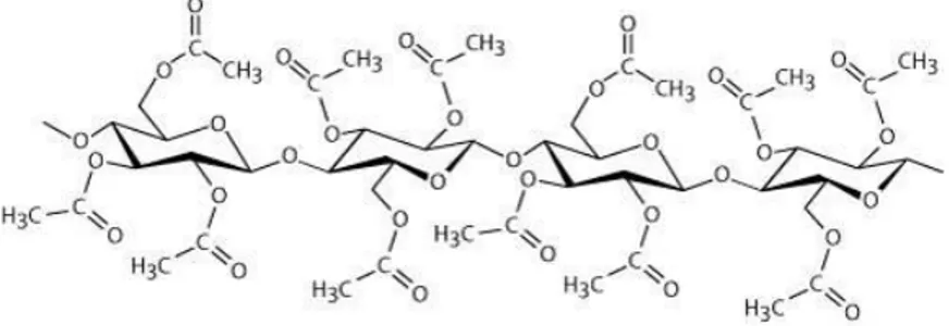 Figure 2.3 : Structure moléculaire de l'acétate de cellulose (tirée de : Helmenstine, 2012b) 