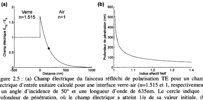 Figure  2.5  :  (a)  Champ  électrique  du  faisceau  réfléchi  de  polarisation  TE  pour  un  champ  électrique d’entrée unitaire calculé pour une  interface  verre-air (n=1.515  et  1, respectivement)  à  un  angle  d ’incidence  de  50°  et  une  longu