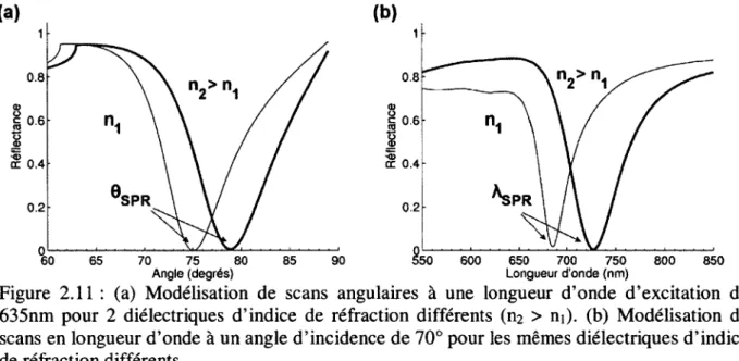 Figure  2.11  :  (a)  Modélisation  de  scans  angulaires  à  une  longueur  d’onde  d ’excitation  de  635nm  pour  2  diélectriques  d’indice  de  réfraction  différents  (n 2   &gt;  ni),  (b)  Modélisation  de  scans en longueur d ’onde à un angle d ’i