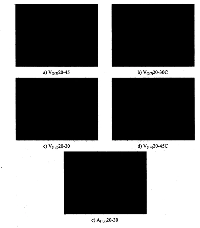 Figure 4.1 : Réseau de fissuration  et surface de rupture (lignes en gras) des spécimens de la  série 200 