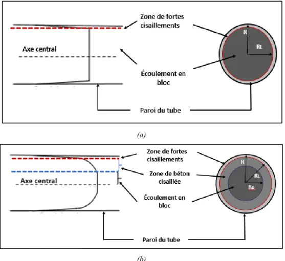 Figure 2-6: Profil d'écoulement des bétons dans une conduite circulaire : béton (a) non cisaillé et (b) cisaillé