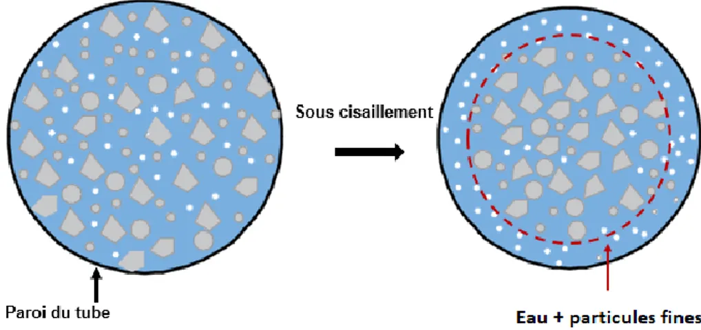 Figure 2-15: Représentation schématique de la migration des particules sous cisaillement 