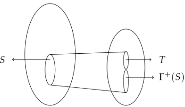 Figure 1.2 A representation of the set S ⊆ V and its neighborhood.
