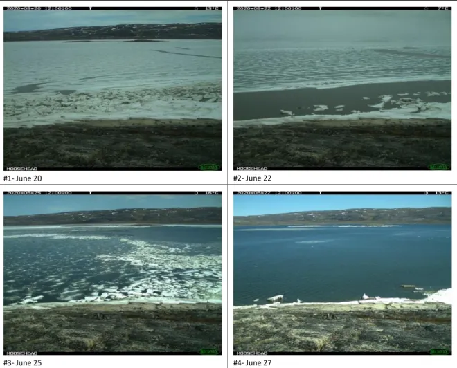 Figure 4: Breakup sequence in Deception Bay in 2020 in front of Moosehead Island.  