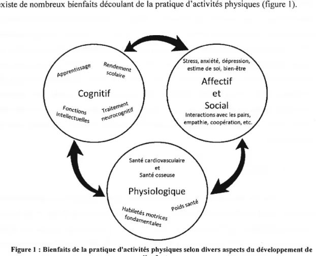 Figure 1: Bienfaits de la pratique d’activités physiques selon divers aspects du développement de l’enfant