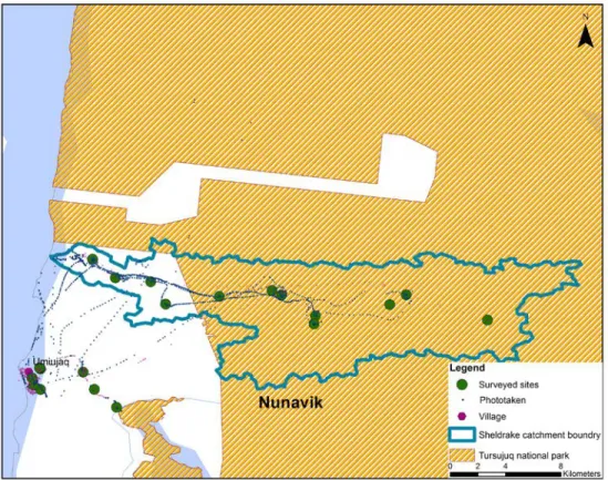 Figure 2: Surveyed sites near Umiujaq and along the Sheldrake River from 2014 to 2017 