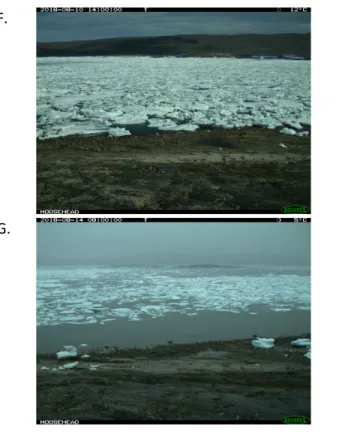 Figure 7 : Évolution de la fonte du couvert de glace  à la Baie Déception en 2018 (A- 11 juin 2018, B- 25 juin 2018, C-  1 juillet 2018, D- 3 juillet 2018, E- 8 juillet 2018, F- 10 août 2018, G- 14 août 2018)