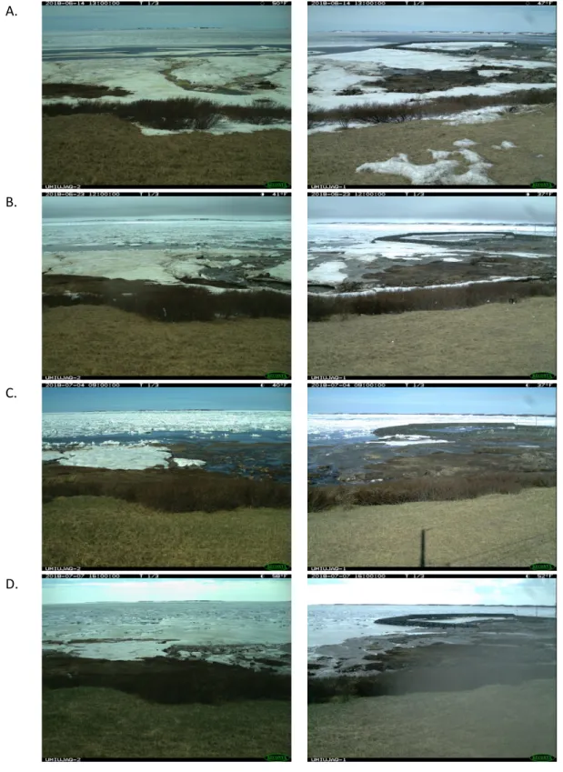 Figure 14 : Évolution de la fonte du couvert de glace  à Umiujaq en 2018 (A- 14 juin 2018, B- 23 juin 2018, C- 4 juillet  2018, D- 7 juillet 2018)  