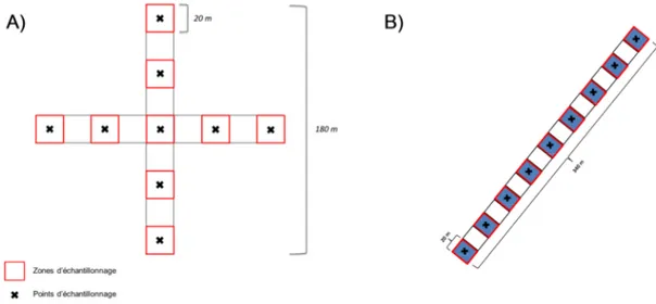 Figure  2.  Forme  des  transects  définis  pour  l’échantillonnage  de  chaque  lac.  A) 1 ère mission et B) 2 ème  et 3 ème  missions