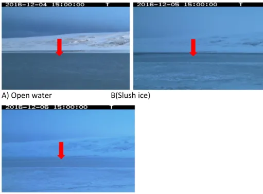 Figure 19: Freeze-up above the SWIP in December 2016. East view from site #2 (Reconyx camera).
