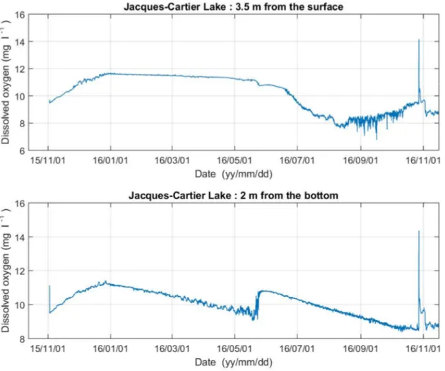 Figure 4. Raw dissolved oxygen observations in Lake Jacques-Cartier in 2015-2016. 