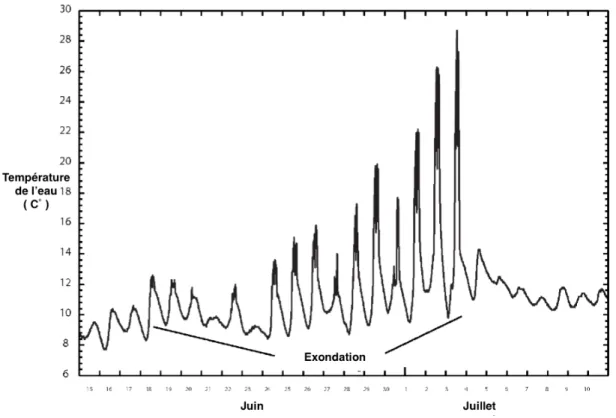 Figure 6 :  Données de température, incluant des données ou le thermographe était exondé  dans la rivière Kadashan près de Tenakee en Alaska, juin-juillet 1998