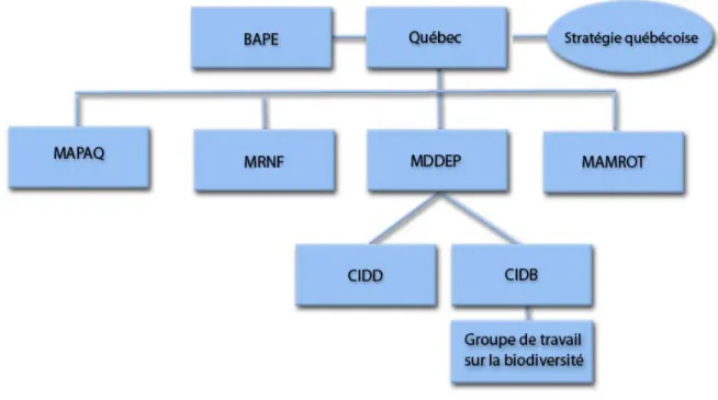 Figure 1.5  Principaux acteurs québécois de la biodiversité 