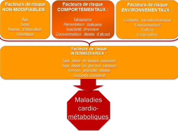 Figure 1. Interaction entre les différents facteurs de risque et les maladies cardio- cardio-métaboliques 