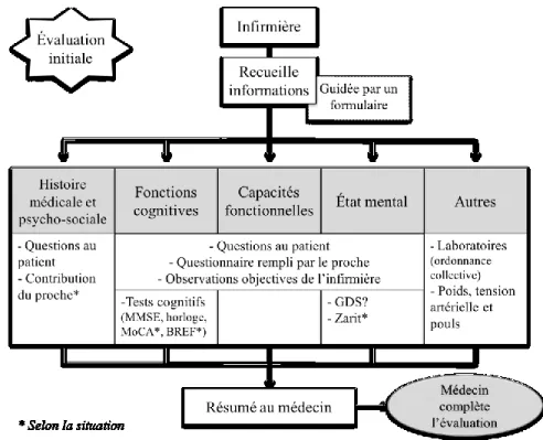 Figure 5. TIP lors de l’évaluation initiale 