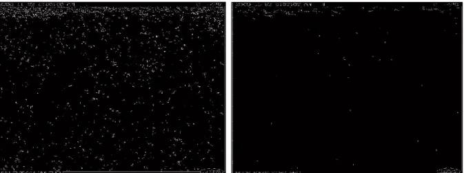 Figure 5 - Détection de contours (pixels blancs) sur une photo ou le bruit n'a pas été diminué à  gauche et sur une photo ou le bruit a été diminué à droite (Caméra Reconyx, objectif avec du givre) 