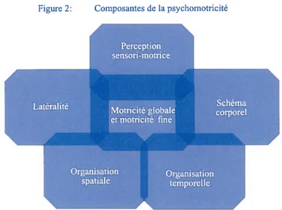 Figure 2: Composantes de la psychomotricité